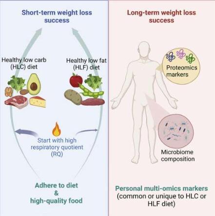 生物标志物可预测体重减轻 建议个性化饮食