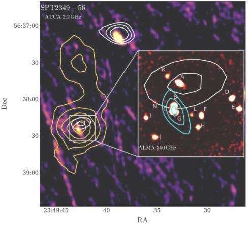 在原星团SPT2349-56中检测到无线电响亮的活动星系核