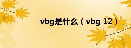 vbg是什么（vbg 12）