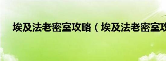 埃及法老密室攻略（埃及法老密室攻略）