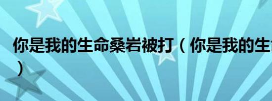 你是我的生命桑岩被打（你是我的生命演员表）