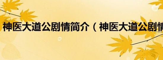 神医大道公剧情简介（神医大道公剧情介绍）