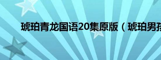 琥珀青龙国语20集原版（琥珀男孩）