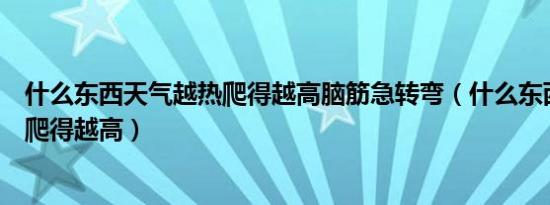 什么东西天气越热爬得越高脑筋急转弯（什么东西天气越热爬得越高）