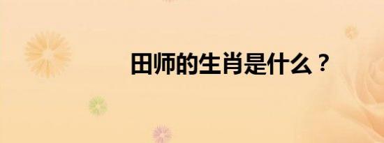 田师的生肖是什么？