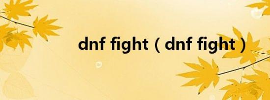 dnf fight（dnf fight）