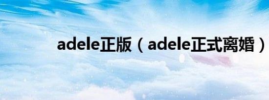 adele正版（adele正式离婚）