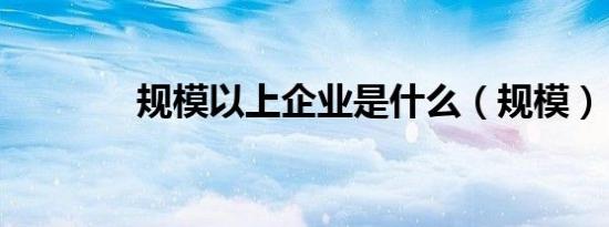 规模以上企业是什么（规模）