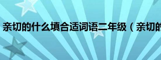 亲切的什么填合适词语二年级（亲切的什么）