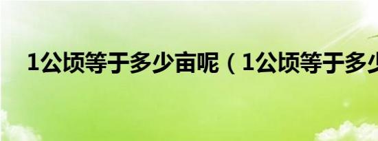 1公顷等于多少亩呢（1公顷等于多少亩）