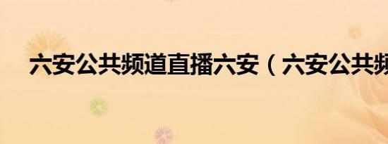 六安公共频道直播六安（六安公共频道）