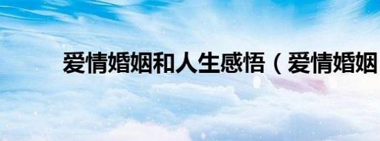 爱情婚姻和人生感悟（爱情婚姻）