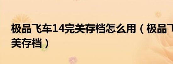 极品飞车14完美存档怎么用（极品飞车14完美存档）