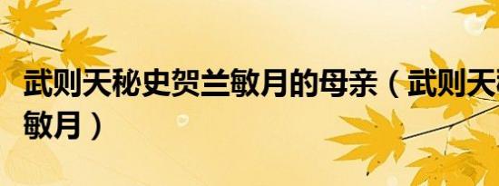 武则天秘史贺兰敏月的母亲（武则天秘史贺兰敏月）