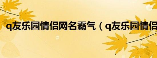 q友乐园情侣网名霸气（q友乐园情侣网名）