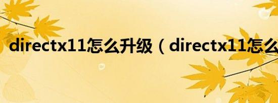 directx11怎么升级（directx11怎么安装）