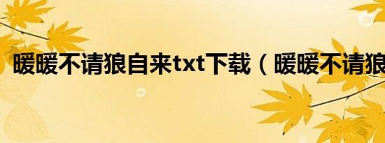 暖暖不请狼自来txt下载（暖暖不请狼自来）