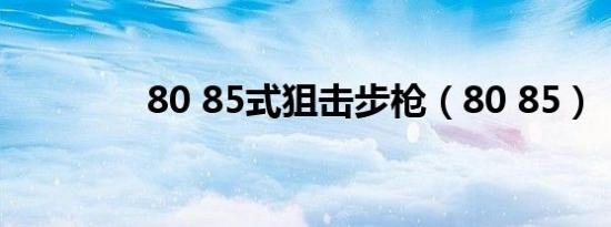 80 85式狙击步枪（80 85）