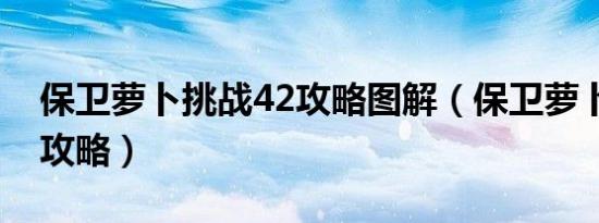 保卫萝卜挑战42攻略图解（保卫萝卜挑战42攻略）