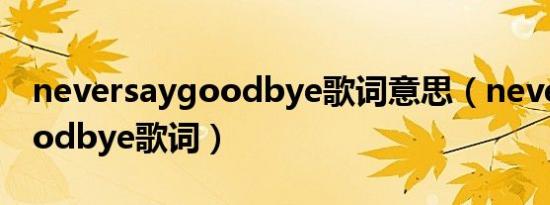 neversaygoodbye歌词意思（neversaygoodbye歌词）