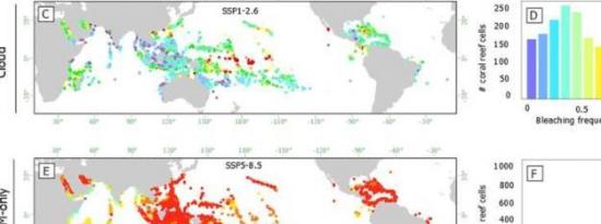 云层可能会延迟气候变化对珊瑚礁的影响