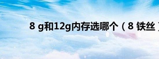 8 g和12g内存选哪个（8 铁丝）