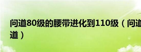 问道80级的腰带进化到110级（问道80妖魔道）