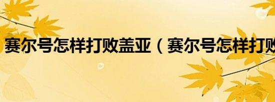 赛尔号怎样打败盖亚（赛尔号怎样打败雷伊）