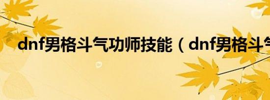 dnf男格斗气功师技能（dnf男格斗气功）