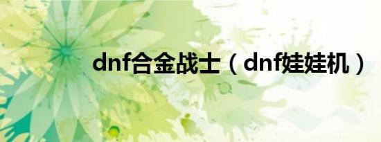 dnf合金战士（dnf娃娃机）