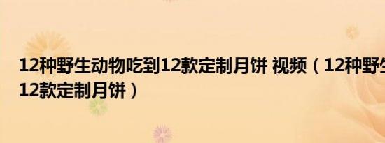 12种野生动物吃到12款定制月饼 视频（12种野生动物吃到12款定制月饼）