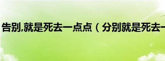 告别,就是死去一点点（分别就是死去一点点）