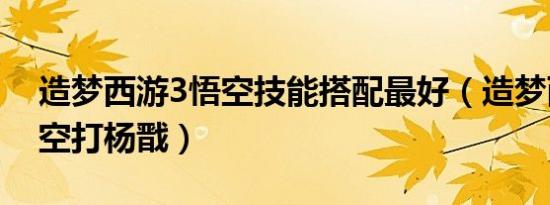 造梦西游3悟空技能搭配最好（造梦西游3悟空打杨戬）