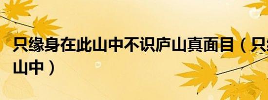 只缘身在此山中不识庐山真面目（只缘身在此山中）