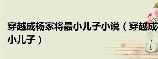 穿越成杨家将最小儿子小说（穿越成杨家将最小儿子）