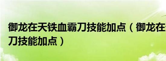 御龙在天铁血霸刀技能加点（御龙在天铁血霸刀技能加点）