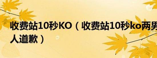 收费站10秒KO（收费站10秒ko两男子 当事人道歉）