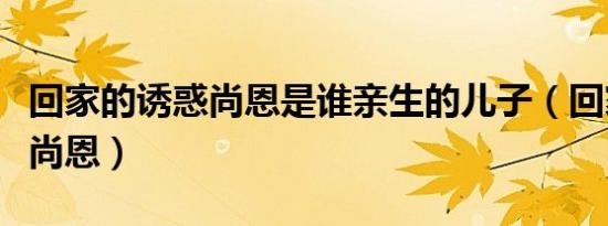 回家的诱惑尚恩是谁亲生的儿子（回家的诱惑尚恩）