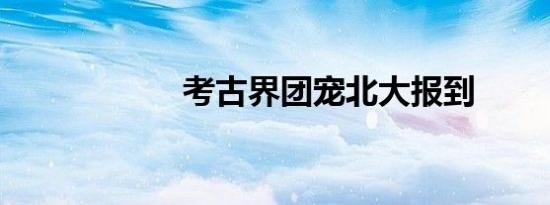 考古界团宠北大报到