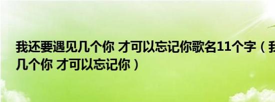 我还要遇见几个你 才可以忘记你歌名11个字（我还要遇见几个你 才可以忘记你）