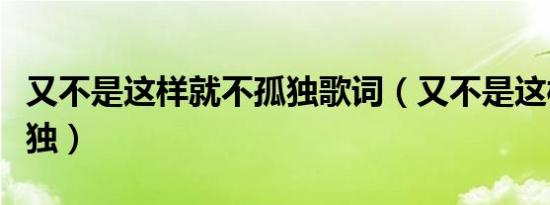 又不是这样就不孤独歌词（又不是这样就不孤独）