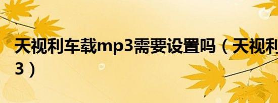 天视利车载mp3需要设置吗（天视利车载mp3）