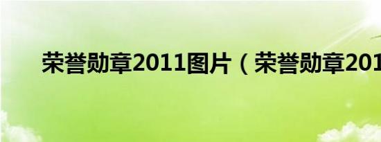 荣誉勋章2011图片（荣誉勋章2011）