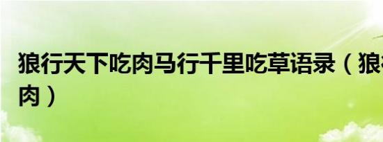 狼行天下吃肉马行千里吃草语录（狼行天下吃肉）