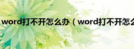 word打不开怎么办（word打不开怎么回事）