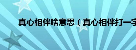 真心相伴啥意思（真心相伴打一字）