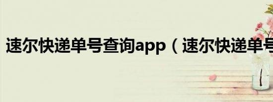 速尔快递单号查询app（速尔快递单号查询）