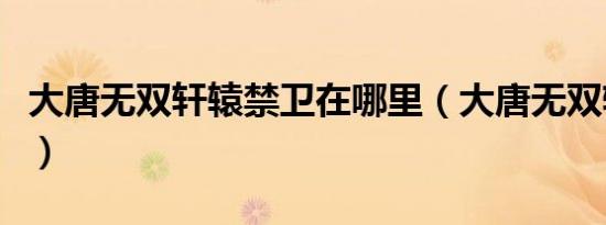 大唐无双轩辕禁卫在哪里（大唐无双轩辕禁卫）