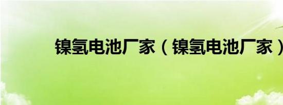 镍氢电池厂家（镍氢电池厂家）