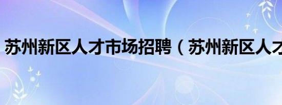 苏州新区人才市场招聘（苏州新区人才市场）